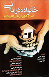 Family Psychotherapy Treatment Planner (Farsi)
